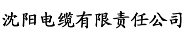 影视专题电缆厂logo